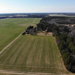 Photo #29 of 6049 POPLAR GROVE LN, CAPE CHARLES, VA 321.6 acres