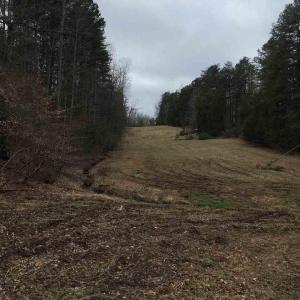 Photo #9 of 503 GARDEN LN, PALMYRA, VA 49.8 acres