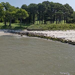 Photo #13 of Lot 6 ARLINGTON CHASE RD, CAPE CHARLES, VA 30.5 acres