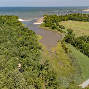 Photo #15 of Lot 6 ARLINGTON CHASE RD, CAPE CHARLES, VA 30.5 acres