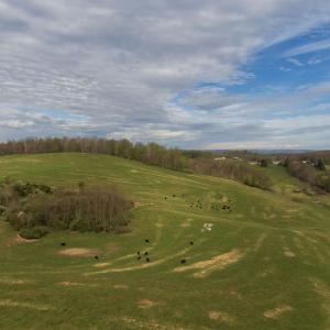 Photo #4 of TBD OLD B AND O RD, RAPHINE, VA 67.6 acres