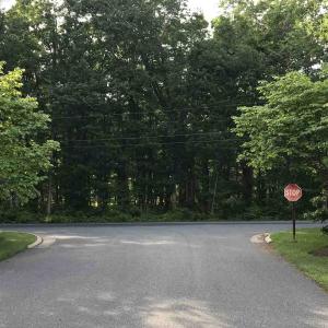 Photo #9 of RESORT DR, MCGAHEYSVILLE, VA 4.4 acres