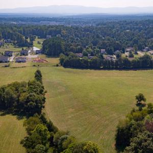 Photo #2 of TM 65-A-23 GILBERT RD, RUCKERSVILLE, VA 41.7 acres