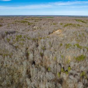 Photo #11 of BREMO RD, STAGE JUNCTION, VA 53.1 acres