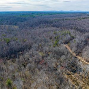 Photo #13 of BREMO RD, STAGE JUNCTION, VA 53.1 acres