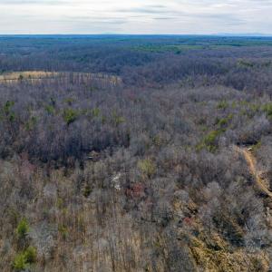 Photo #14 of BREMO RD, STAGE JUNCTION, VA 53.1 acres