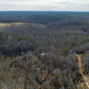 Photo #15 of BREMO RD, STAGE JUNCTION, VA 53.1 acres