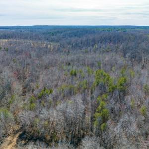 Photo #8 of BREMO RD, STAGE JUNCTION, VA 53.1 acres