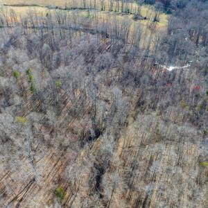 Photo #10 of BREMO RD, STAGE JUNCTION, VA 53.1 acres