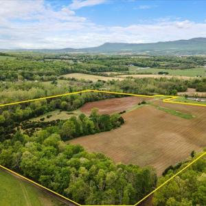 Photo #8 of LOOP RD, ELKTON, VA 51.2 acres