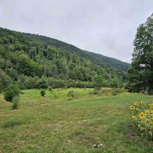 Photo #2 of SOLD property in 3328 UPPER BACK CREEK RD, MONTEREY, VA 32.0 acres