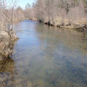 Photo #6 of SOLD property in 3328 UPPER BACK CREEK RD, MONTEREY, VA 32.0 acres