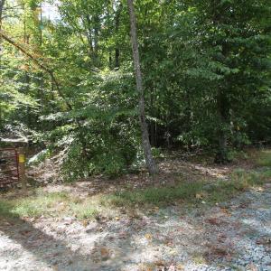 Photo #2 of LOUISA RD, KESWICK, VA 112.7 acres