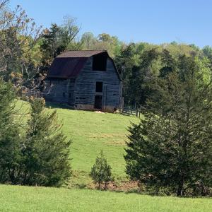 Photo #9 of TM 63-22 TATUM RD, UNIONVILLE, VA 271.9 acres