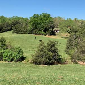 Photo #13 of TM 63-22 TATUM RD, UNIONVILLE, VA 271.9 acres