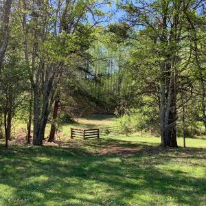 Photo #15 of TM 63-22 TATUM RD, UNIONVILLE, VA 271.9 acres