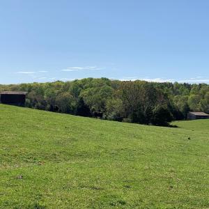 Photo #8 of TM 63-22 TATUM RD, UNIONVILLE, VA 271.9 acres