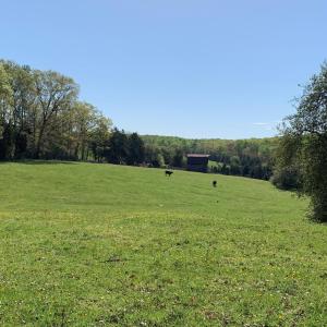 Photo #7 of TM 63-22 TATUM RD, UNIONVILLE, VA 271.9 acres