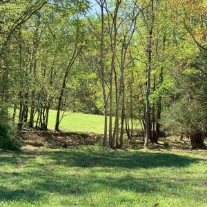 Photo #16 of TM 63-22 TATUM RD, UNIONVILLE, VA 271.9 acres