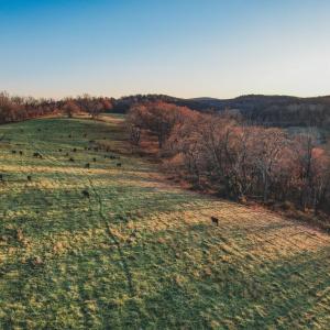 Photo #11 of SOLD property in TBD LEEDS MANOR RD, DELAPLANE, VA 490.4 acres