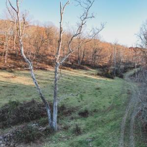 Photo #19 of SOLD property in TBD LEEDS MANOR RD, DELAPLANE, VA 490.4 acres