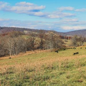 Photo #25 of SOLD property in TBD LEEDS MANOR RD, DELAPLANE, VA 490.4 acres