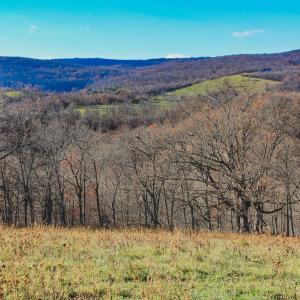 Photo #26 of SOLD property in TBD LEEDS MANOR RD, DELAPLANE, VA 490.4 acres