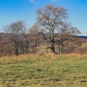 Photo #35 of SOLD property in TBD LEEDS MANOR RD, DELAPLANE, VA 490.4 acres