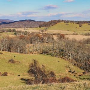 Photo #36 of SOLD property in TBD LEEDS MANOR RD, DELAPLANE, VA 490.4 acres