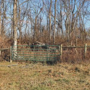 Photo #52 of SOLD property in TBD LEEDS MANOR RD, DELAPLANE, VA 490.4 acres