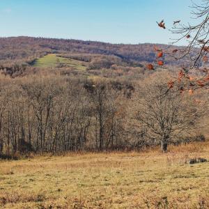 Photo #56 of SOLD property in TBD LEEDS MANOR RD, DELAPLANE, VA 490.4 acres