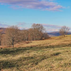 Photo #57 of SOLD property in TBD LEEDS MANOR RD, DELAPLANE, VA 490.4 acres