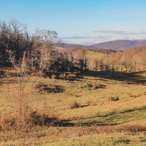 Photo #63 of SOLD property in TBD LEEDS MANOR RD, DELAPLANE, VA 490.4 acres