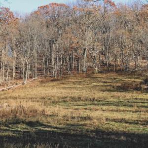 Photo #65 of SOLD property in TBD LEEDS MANOR RD, DELAPLANE, VA 490.4 acres