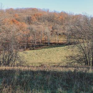 Photo #68 of SOLD property in TBD LEEDS MANOR RD, DELAPLANE, VA 490.4 acres