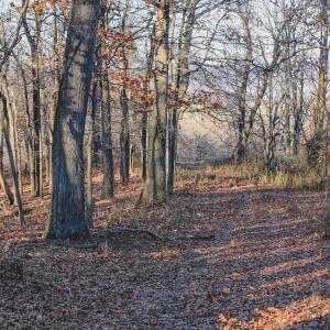 Photo #70 of SOLD property in TBD LEEDS MANOR RD, DELAPLANE, VA 490.4 acres