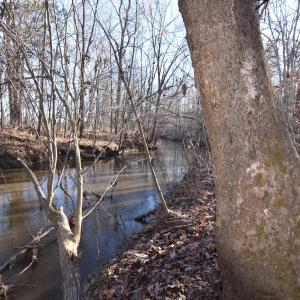 Photo #18 of Lot 3 PLANK RD, DILLWYN, VA 30.3 acres