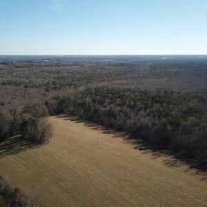 Photo #11 of 255 NAHOR MANOR RD, PALMYRA, VA 79.6 acres