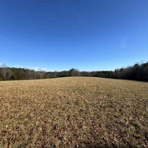 Photo #23 of 255 NAHOR MANOR RD, PALMYRA, VA 79.6 acres