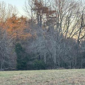 Photo #29 of 255 NAHOR MANOR RD, PALMYRA, VA 79.6 acres