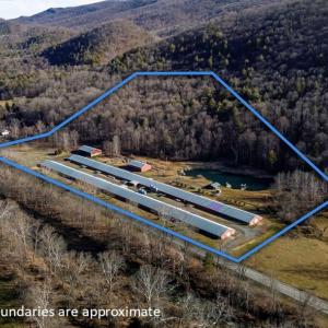 Photo #2 of 16554 BROCKS GAP RD, FULKS RUN, VA 20.4 acres