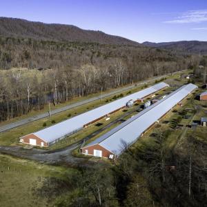 Photo #8 of 16554 BROCKS GAP RD, FULKS RUN, VA 20.4 acres