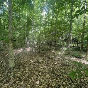 Photo #6 of CARYSBROOK RD, PALMYRA, VA 44.9 acres