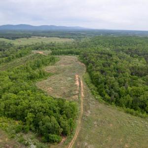 Photo #41 of TBD 1 MARTIN KINGS RD, SCOTTSVILLE, VA 2,081.3 acres