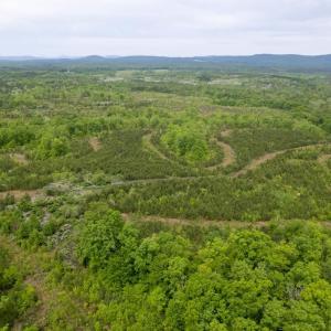 Photo #44 of TBD 1 MARTIN KINGS RD, SCOTTSVILLE, VA 2,081.3 acres