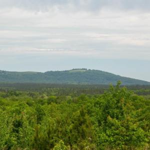 Photo #15 of TBD 1 MARTIN KINGS RD, SCOTTSVILLE, VA 2,081.3 acres