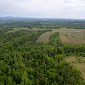 Photo #13 of TBD 1 MARTIN KINGS RD, SCOTTSVILLE, VA 2,081.3 acres