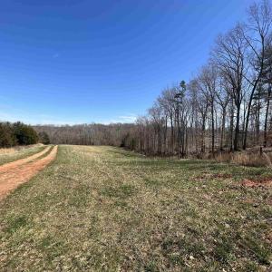 Photo #14 of CARYSBROOK RD, PALMYRA, VA 61.1 acres