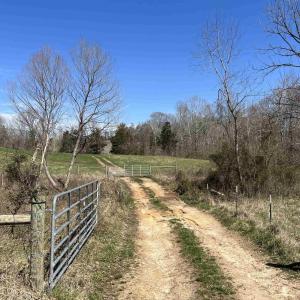 Photo #15 of CARYSBROOK RD, PALMYRA, VA 61.1 acres