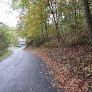 Photo #6 of STONEWALL DR, BASYE, VA 0.3 acres